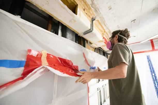 Best Crawl Space Mold Remediation  in Ceredo, WV