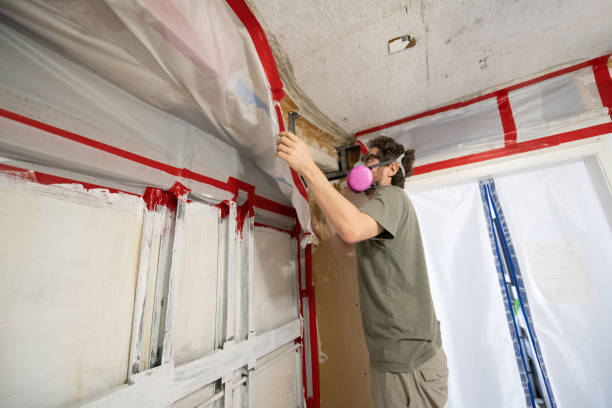 Best Airborne Mold Testing  in Ceredo, WV