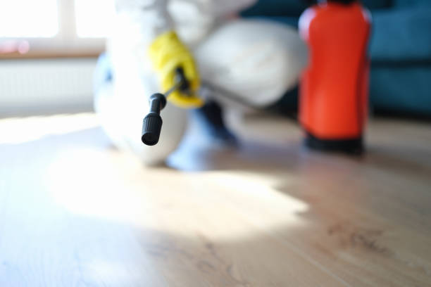 Biohazard Mold Removal in Ceredo, WV