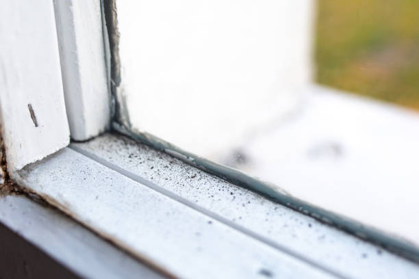 Best HVAC Mold Inspection and Cleaning  in Ceredo, WV