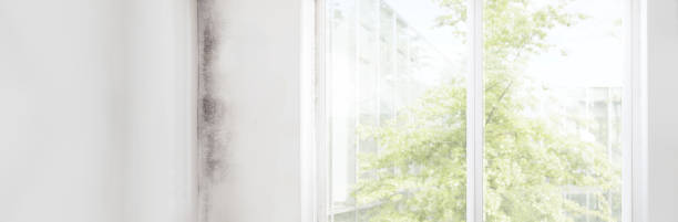 Best Indoor Air Quality Assessment  in Ceredo, WV