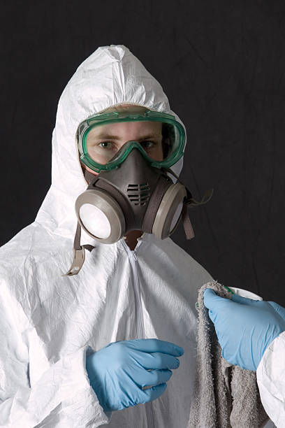 Best Mold Prevention Services  in Ceredo, WV